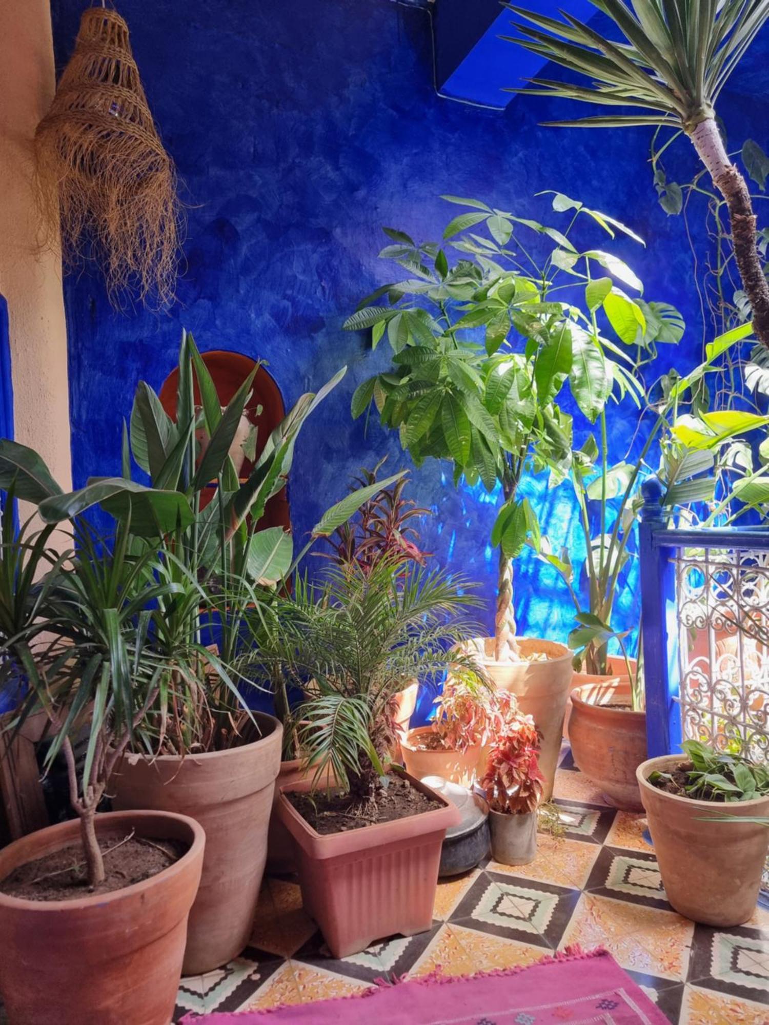 Hotel Casa Amina Chefchaouen Exterior foto